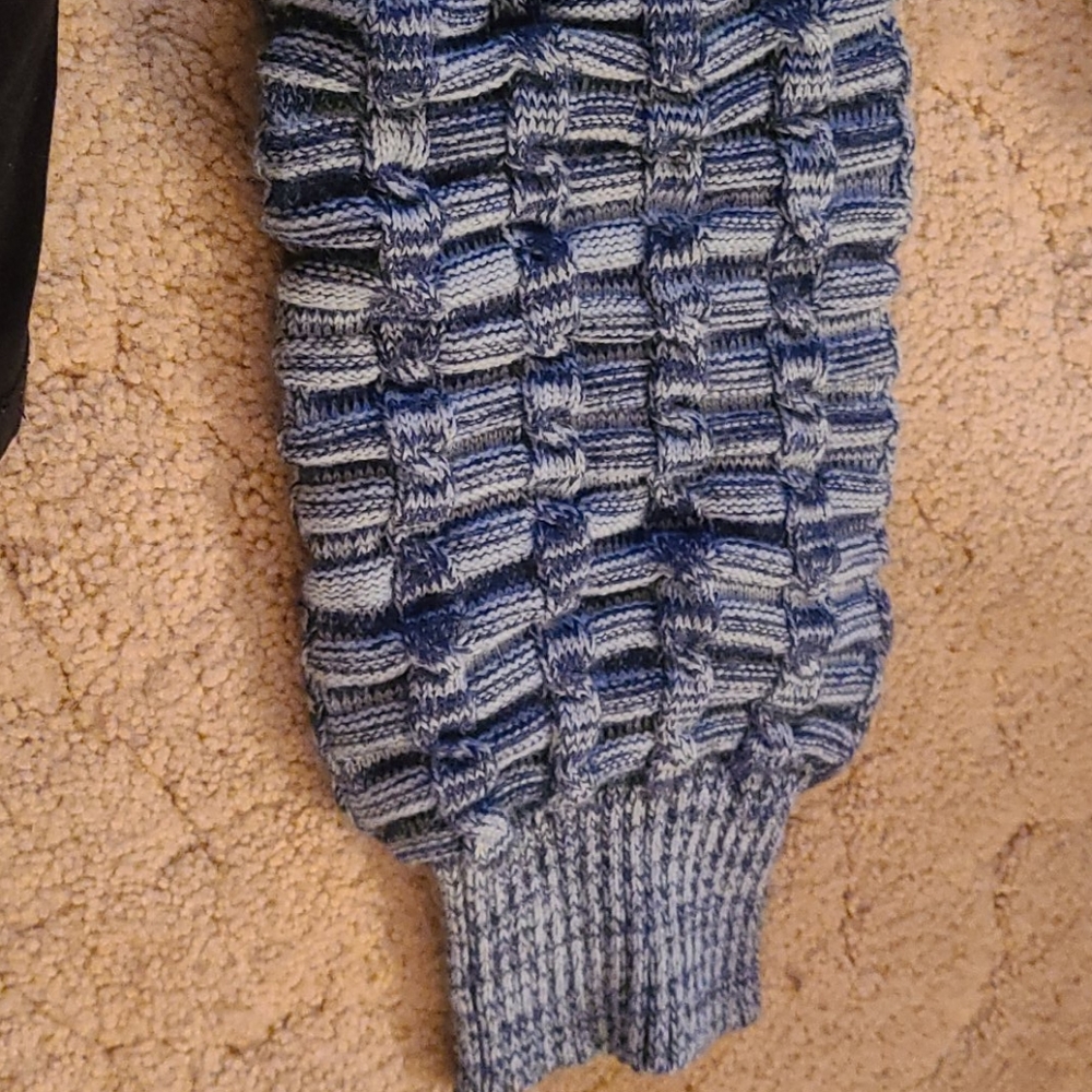 Blue dog sweater